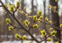 8 cụm từ tiếng Anh thông dụng chứa từ ‘new’